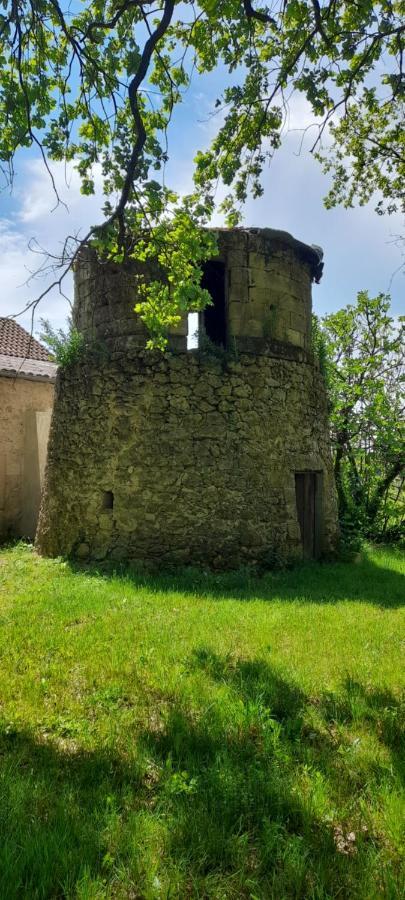 Moulin De Bigorre Villa Saint-Genes-de-Castillon Bagian luar foto