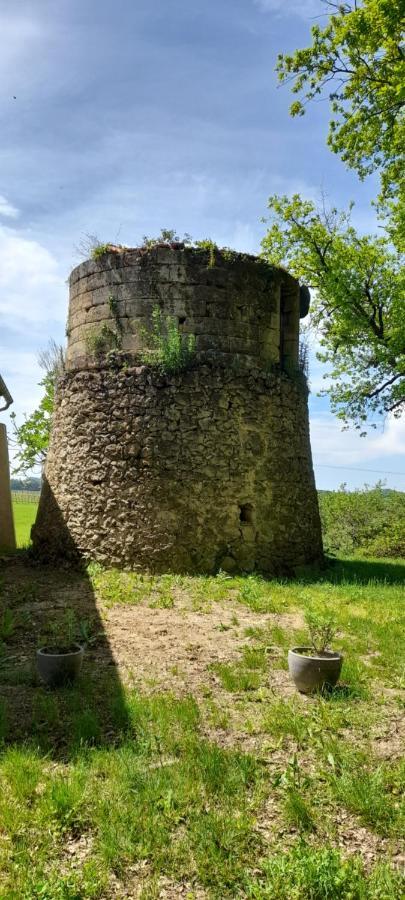 Moulin De Bigorre Villa Saint-Genes-de-Castillon Bagian luar foto